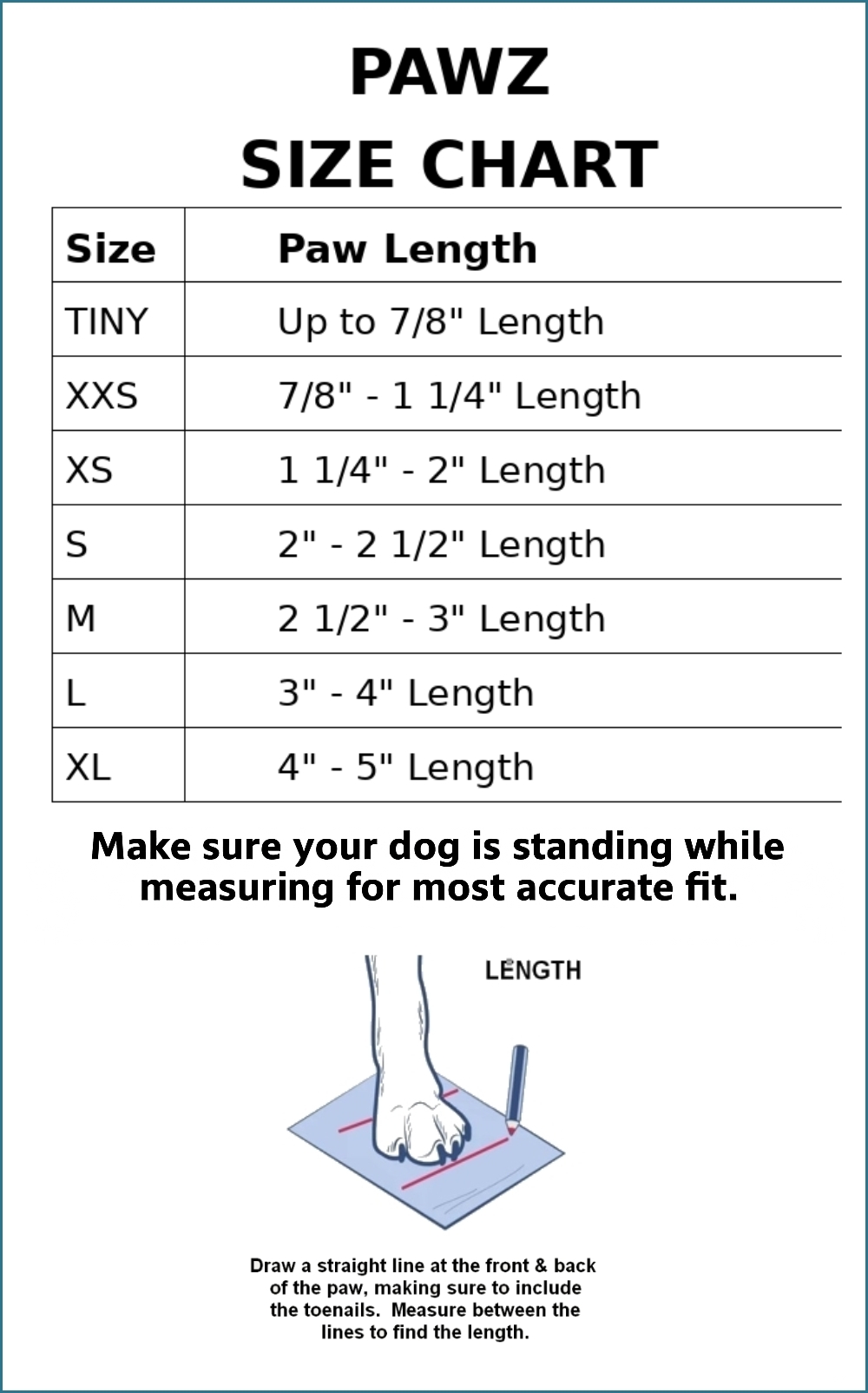 How To Measure Dog Paws For Boots? Easy Steps for Perfect Fit